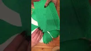 3 часть ПИОН НАСТЕННЫЙ