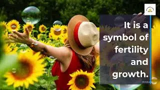 What Does The Sunflower Symbolize? Understanding The Meaning Behind This Beautiful Plant's Name.