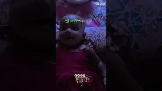 দুষ্টু কোকিল