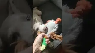 игры