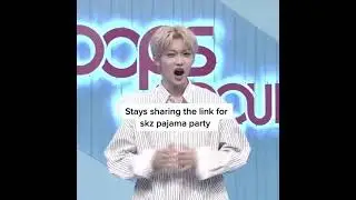 Stays, we got caught 🙂 - Stray Kids