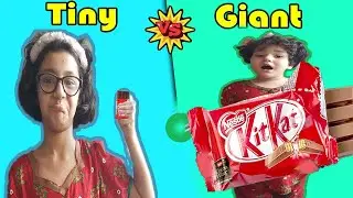 Tiny Vs Giant Food Challenge|/// Small Vs Big Food Challenge// mona and ajwa show