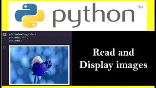 How to Load Image in Python ? | Read Image in Python | 