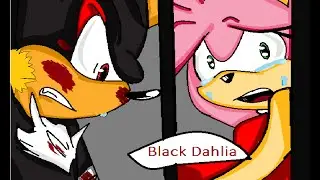 Shadow And Amy 