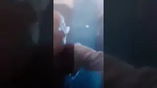Нардол