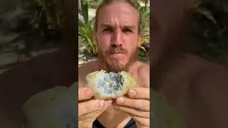 Eating Vomit Fruit. The Most Disgusting Fruit In The World?