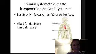Lymfesystemet