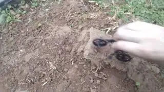 my bmx fingerbike track