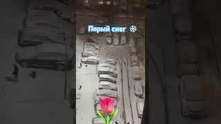 Первый снег❄️🌷