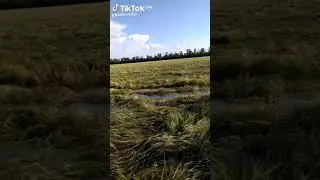 запорожская область дожди.