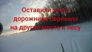 Охота на зайца. Закрытие сезона 9 января 2022 года!