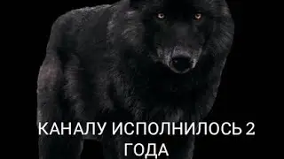КАНАЛУ ИСПОЛНИЛОСЬ 2 ГОДА
