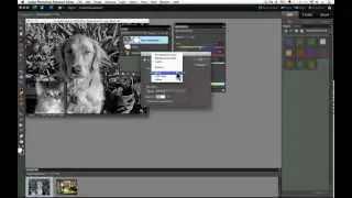 Adjustment Layers in Photoshop Elements Part 1
