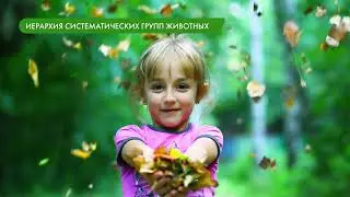 Разнообразие организмов и их классификация