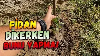 Fidanlarınızı Aşılamaya Hazırlanın!