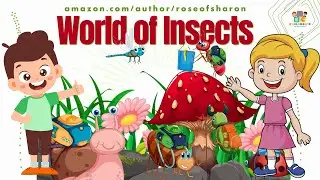 Exploring the Fascinating World of Insects | learn about Insects | Children’s Learning Channel