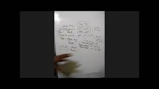 Equilibrium mcq