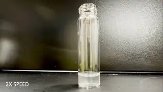 Carbohydrate Polymers Could Be a Sweet Solution for Water Purification
