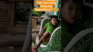 nggedabrus