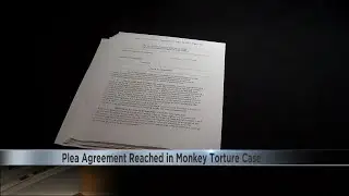 Plea agreement reached in monkey torture case