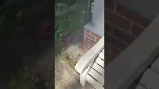 Гениальный кавказец. Так не может никто!!! 
