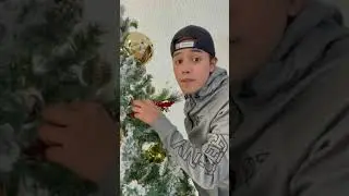CUANDO TU PRIMITO CARLITOS QUIERE PONER LA ESTRELLA ⭐️ DEL ÁRBOL 🎄/ Luis Méndez