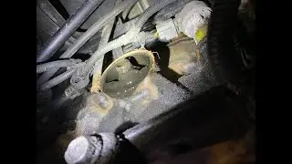 Jeep 4.0L Engine Oil Sludge Found During Inspection of Marla Hooch