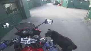Мото Былины 