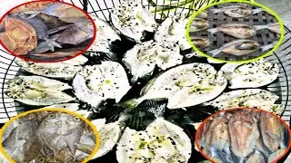 PAANO GUMAWA NG LAMAYO AT DAING NA DANGGIT ll HOW TO MAKE SALTED DRIED & SLIGHTLY DRIED RABBITFISH