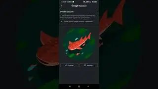 how to change Gmail profile picture on Android phone