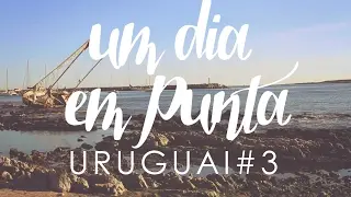 Punta Ballena e Punta del Este em 1 dia | URUGUAI #3 | Dani viaja