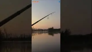 Красноперка на попла-поппер 