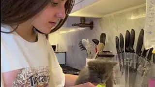 If you're a cat lover, this is worth to watch 🐈🥰