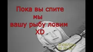 КРХ Белая дача ! Оооочень много рыбы !