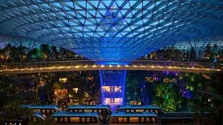 Jewel Changi Airport : Best Photo Spots of Rain Vortex and Forest Valley