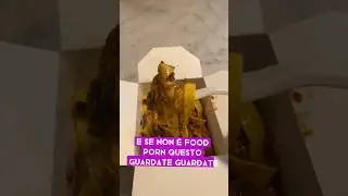 Mai provato le tagliatelle in cartone in centro a Bologna?