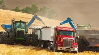 Wheat Harvest 2023 - Harvest Millions Of Tons Of Wheat In America & Canada