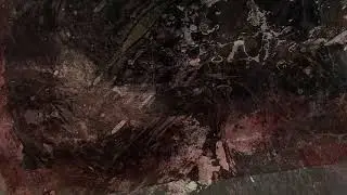EVI KELLER DES PAYSAGES BRULES PAR LA NUIT 2020 EXTRAIT