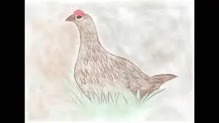 Сорокина Таня