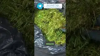 Идеальная подкормка из подручных средств #подкормка #грядки #дача #огород #садоводство #сад