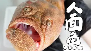 傳說中的人面魚 ! 視覺的衝擊 ! ｜RICOの食材圖鑑
