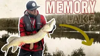Memory Lake pt. 2 - Fiskar gädda