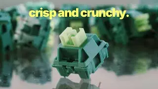 Top 5 Clicky Switches (2025)