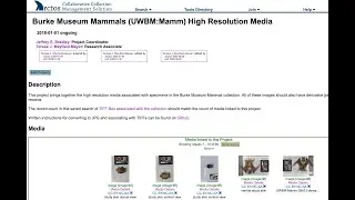 UWBM Mammals Convert TIFF to JPG