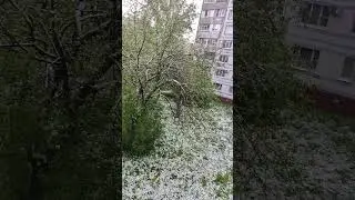 Утро 9 мая 2024г. С Днём Победы!!! Ура!!! 🥳🥳🥳🇷🇺♥️💪
