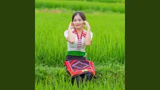 Nhạc Sống Dissco TB1