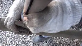 How to drive a bearing onto a pipe