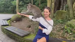 Sacred Monkey Forest Sanctuary