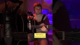 Nirvana - About A Girl на гитаре 🔥🎸 #гитара #кавер #гитараснуля #nirvana #aboutagirl