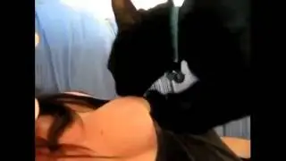 Прикольные Приколы, смешное видео, сборник приколов, приколы с животными,!2014  2013!!mp4